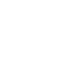 Negotiation Strategies